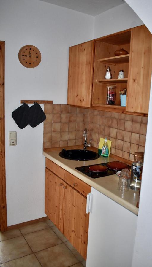 Pfanzelter Apartment *